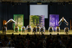 Die Turedancer (Turedancer e.V.) - Am Pass der weißen Rose