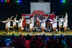 Prinzengarde ZFV (Zellingen) - Welcome to Clowntown