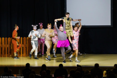 Männerballett VVE Eschau - Safari