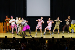Männerballett VVE Eschau - Safari