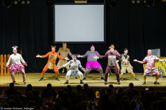 Männerballett VVE Eschau - Safari