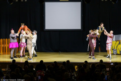 Männerballett VVE Eschau - Safari