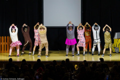 Männerballett VVE Eschau - Safari