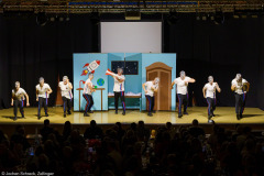 Albertshöfer Männerballett (Höpper Elfer TSV Albertshofen)