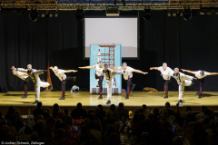Albertshöfer Männerballett (Höpper Elfer TSV Albertshofen)