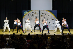 Albertshöfer Männerballett (Höpper Elfer TSV Albertshofen)
