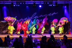 Tanzfieber TSG - World of Musicals