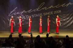 Penguin Tappers Hemsbach - Steptanz