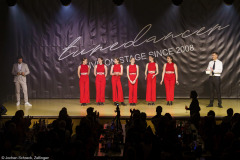 Penguin Tappers Hemsbach - Steptanz