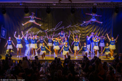 Blue Royal Köln - Showtanz