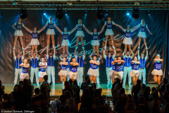 Blue Royal Köln - Showtanz