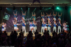 Blue Royal Köln - Showtanz