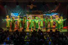 Die Turedancer Zellingen - Ritmo de Rio