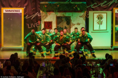 Die Turedancer Zellingen - Ritmo de Rio