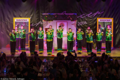 Die Turedancer Zellingen - Ritmo de Rio