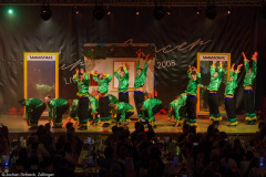 Die Turedancer Zellingen - Ritmo de Rio