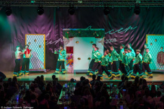 Die Turedancer Zellingen - Ritmo de Rio