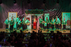 Die Turedancer Zellingen - Ritmo de Rio