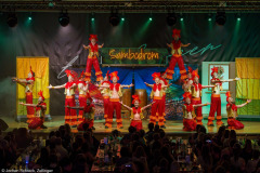 Die Turedancer Zellingen - Ritmo de Rio