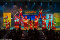 Die Turedancer Zellingen - Ritmo de Rio