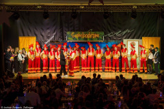 Die Turedancer Zellingen - Ritmo de Rio