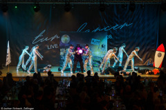 Leppdänser Fulda - Galaktischer Absturz