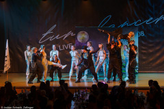 Leppdänser Fulda - Galaktischer Absturz