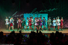 Blaue Garde Estenfeld - Harry Houdini