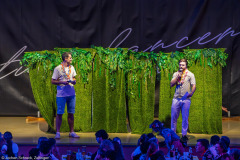 HCV Showtanzgruppe - Homburg