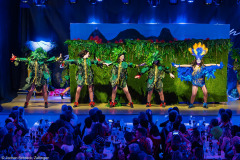 HCV Showtanzgruppe - Homburg