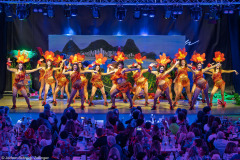 HCV Showtanzgruppe - Homburg