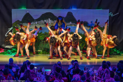 HCV Showtanzgruppe - Homburg