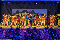 HCV Showtanzgruppe - Homburg