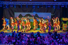 HCV Showtanzgruppe - Homburg