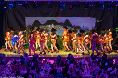 HCV Showtanzgruppe - Homburg