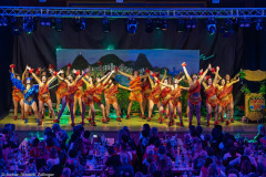 HCV Showtanzgruppe - Homburg