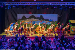 HCV Showtanzgruppe - Homburg