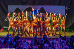 HCV Showtanzgruppe - Homburg