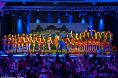 HCV Showtanzgruppe - Homburg