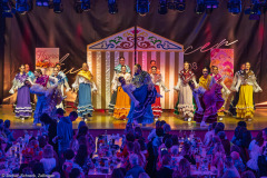 ZFV Prinzengarde - Zellingen