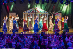 ZFV Prinzengarde - Zellingen