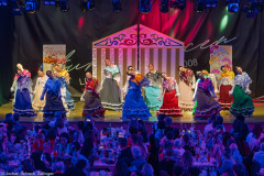 ZFV Prinzengarde - Zellingen