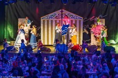 ZFV Prinzengarde - Zellingen