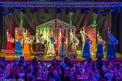 ZFV Prinzengarde - Zellingen