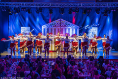 ZFV Prinzengarde - Zellingen