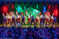 ZFV Prinzengarde - Zellingen