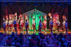 ZFV Prinzengarde - Zellingen