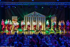 ZFV Prinzengarde - Zellingen