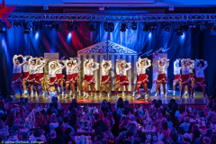 ZFV Prinzengarde - Zellingen