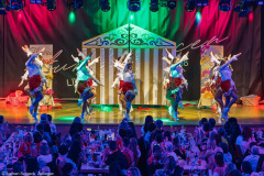 ZFV Prinzengarde - Zellingen